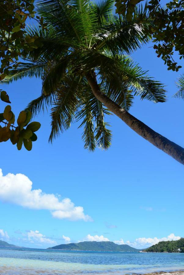 Villa Anse La Blague Baie Sainte Anne エクステリア 写真