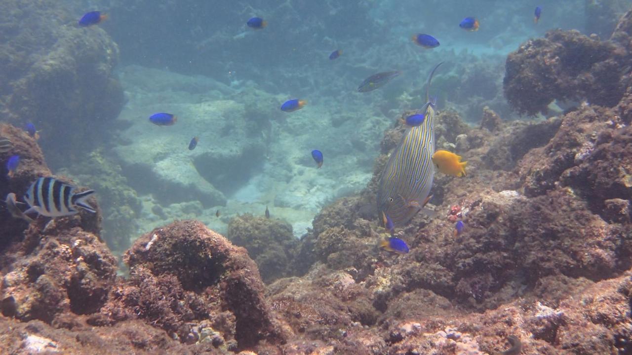 Villa Anse La Blague Baie Sainte Anne エクステリア 写真