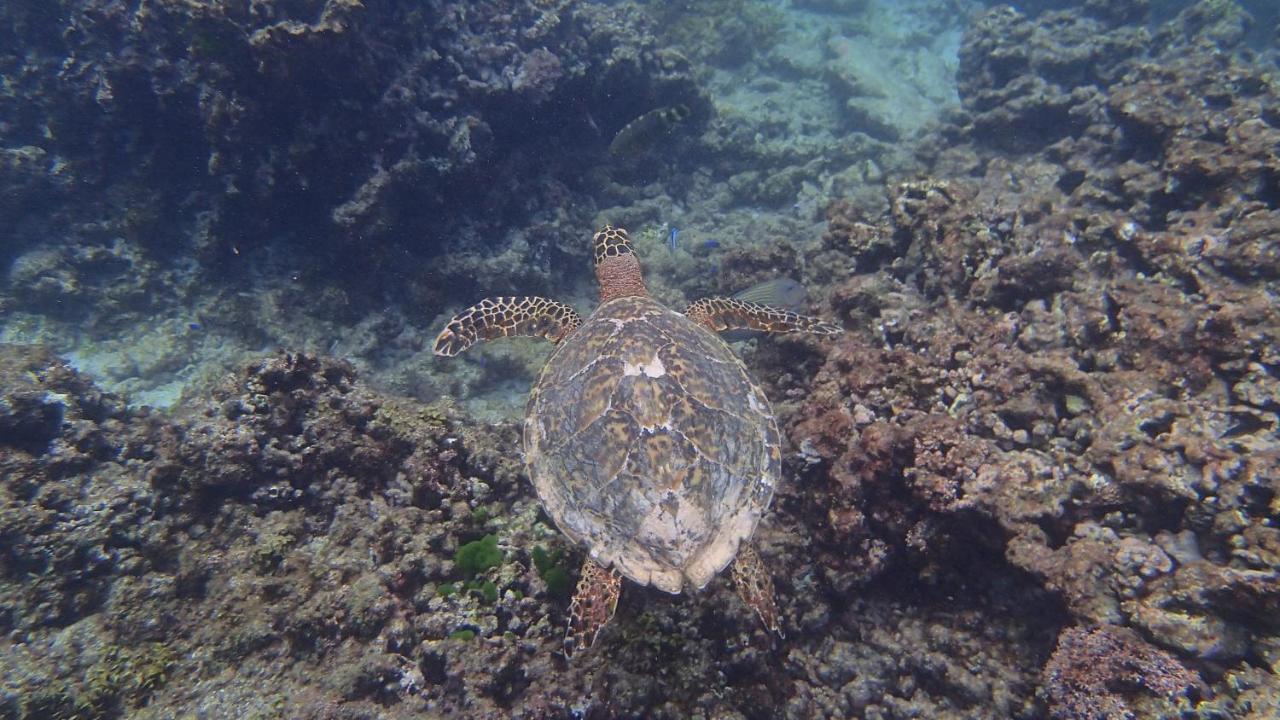 Villa Anse La Blague Baie Sainte Anne エクステリア 写真