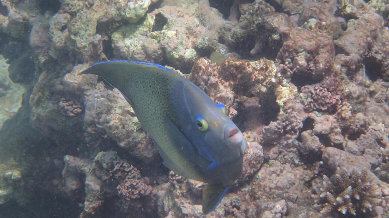 Villa Anse La Blague Baie Sainte Anne エクステリア 写真